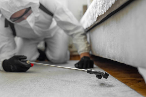Professional Mosquito Control technician working in Compo, CT