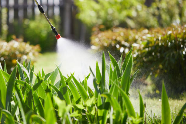 24/7 Emergency Mosquito Control experts in Compo, CT