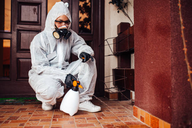 Reliable Mosquito Control contractor in Compo, CT by Nex Pest Control