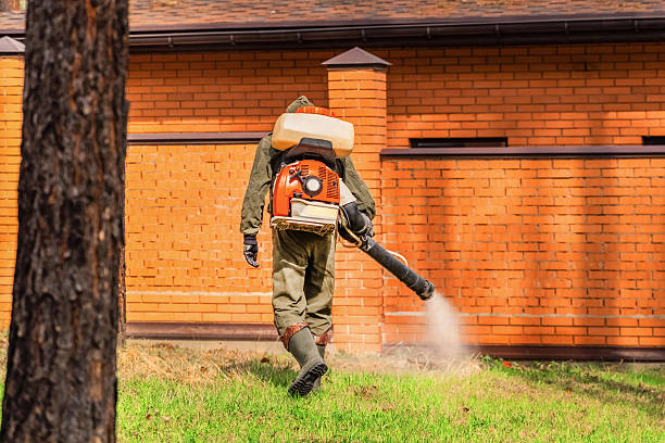 Top rated local Mosquito Control specialists in Compo, CT